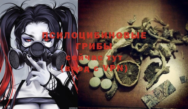 бутират Алзамай